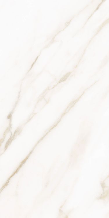 Classy Warm White Matte 12 x 24